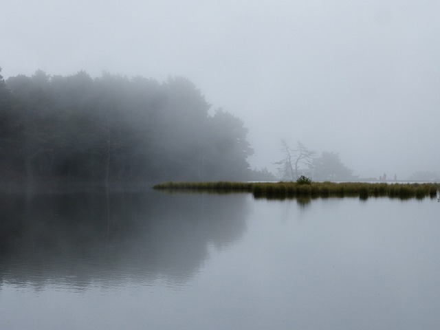 Soñar con fetos vivos: Una experiencia onírica inquietante y reveladora